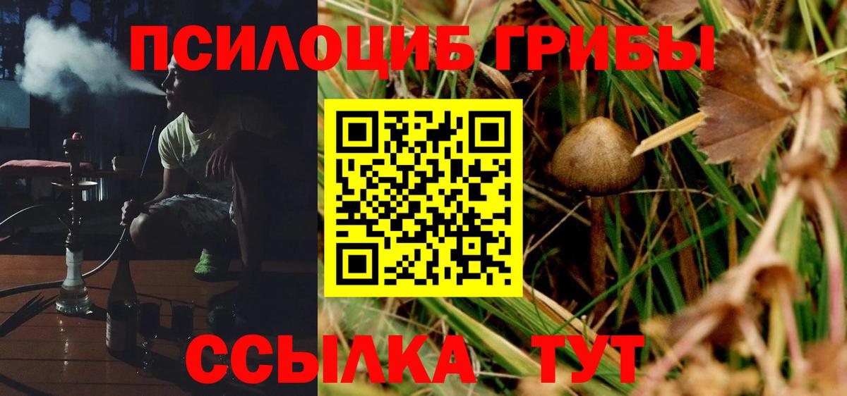 Зерноград  Галлюциногенные грибы Cubensis  Вход с VPN 